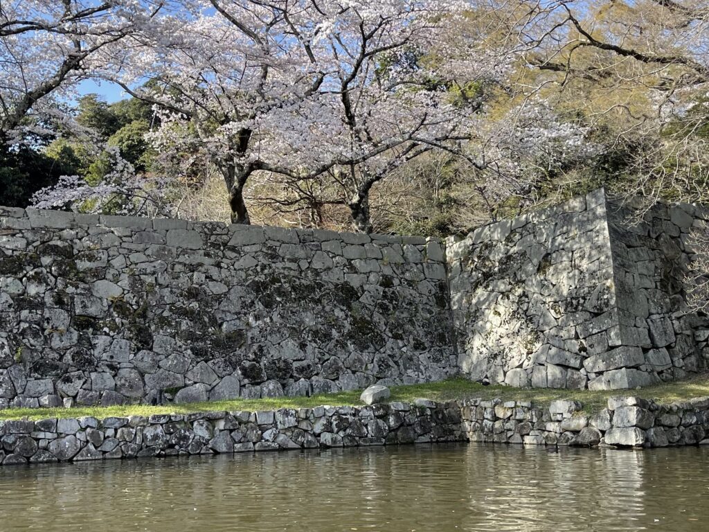 お堀から見る景観の画像